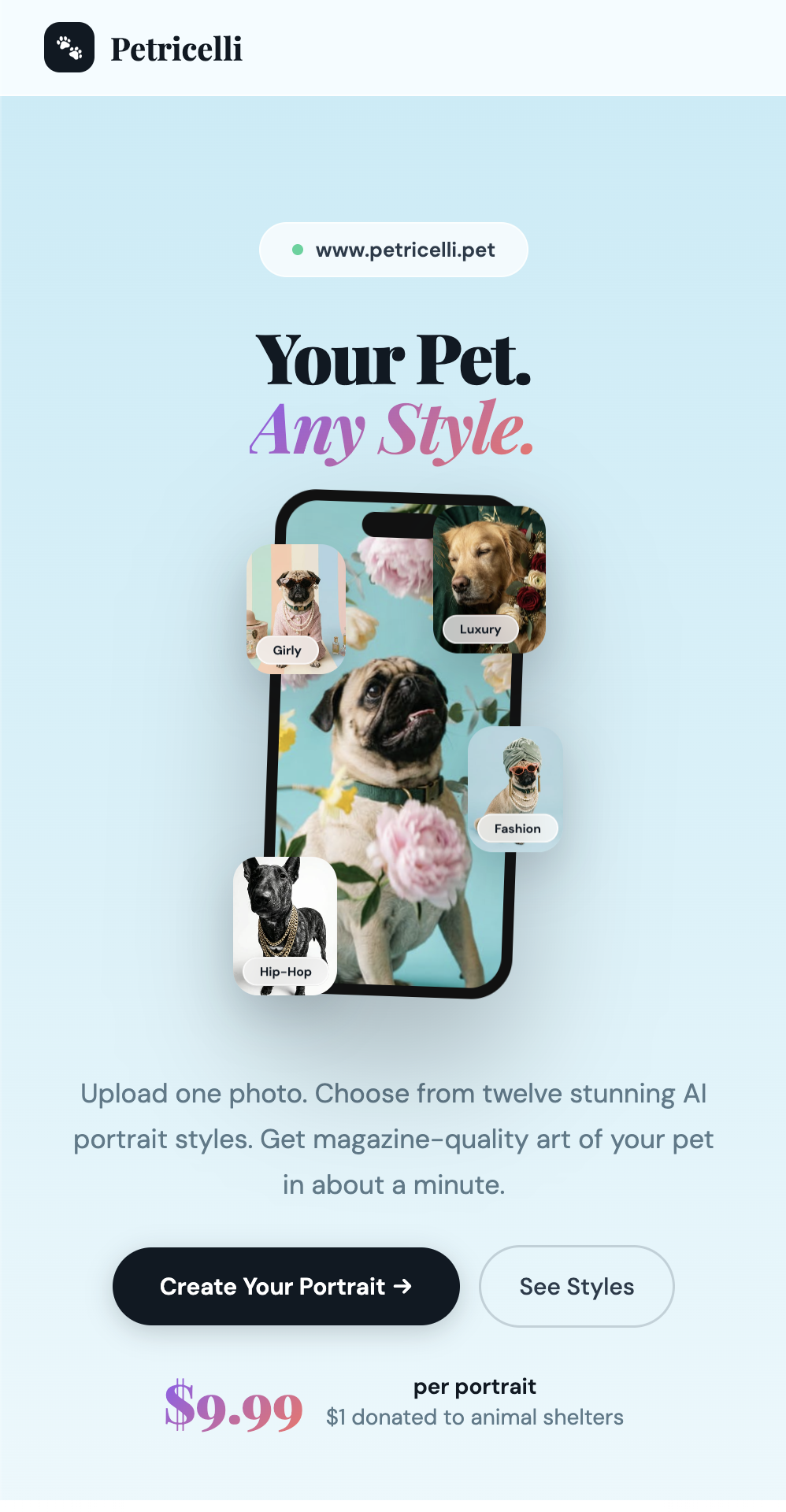 Petricelli mobiilivaade