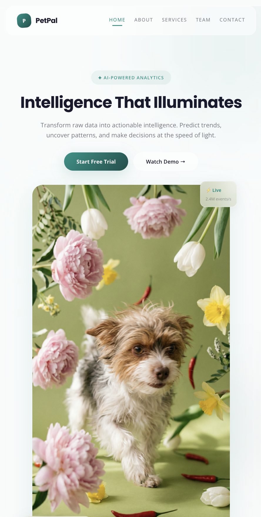 Glassmorphism template mobiil